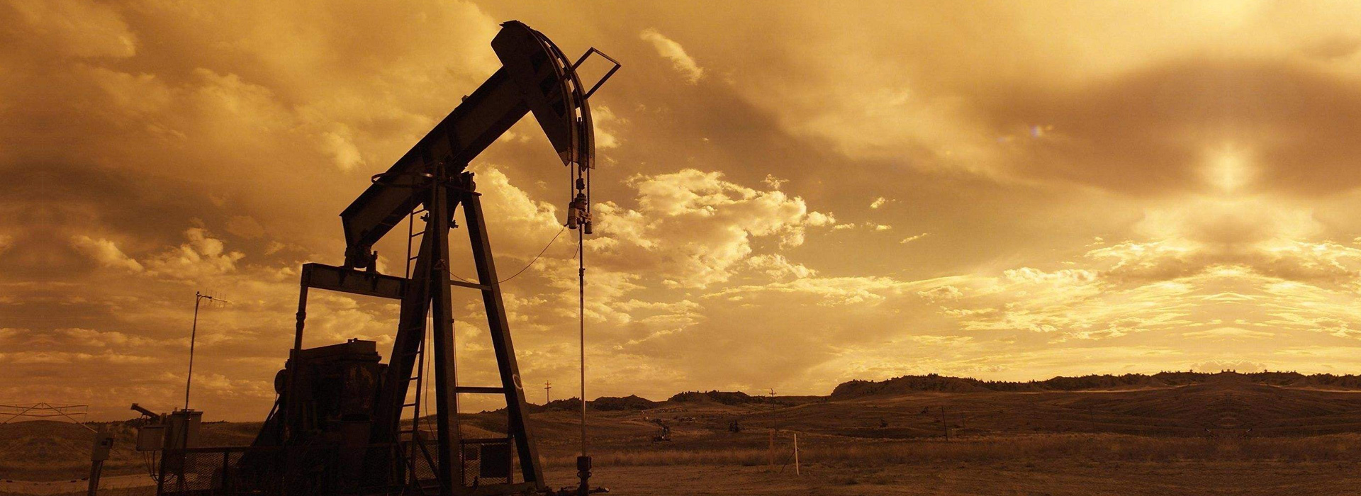 更多的角度交流對(duì)于核桃產(chǎn)業(yè)的見解和思考